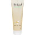 BODYSOL Aroma Duschgel Milch und Honig 250 ml – PZN 9001389 из немецкой аптеки