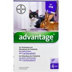 ADVANTAGE 80 mg f.gr.Katzen u.gr.Zierkaninchen 4X0.8 ml из немецкой аптеки