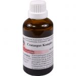 CRATAEGUS HERZ KREISLAUF Complex Tropfen 20 ml из немецкой аптеки