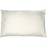 DINKELKISSEN 40x60 cm naturbelassen 1 St из немецкой аптеки