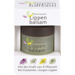 APOTHEKERS Lippenbalsam 1 St из немецкой аптеки