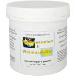 ROSSKASTANIEN WEINLAUB Pflege Gel 250 ml из немецкой аптеки
