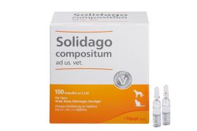 SOLIDAGO COMPOSITUM ad us.vet.Ampullen 100 St – PZN 1224090 из немецкой аптеки