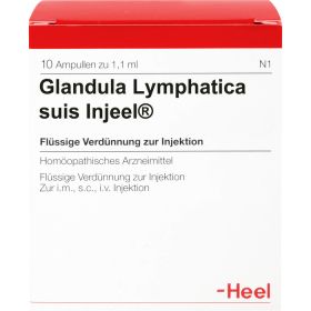 GLANDULA LYMPHATICA suis Injeel Ampullen 10 St – PZN 420558 из немецкой аптеки