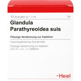 GLANDULA PARATHYREOIDEA suis Injeel Ampullen 10 St – PZN 420630 из немецкой аптеки