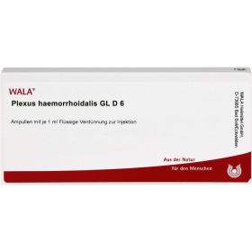 PLEXUS HAEMORRHOIDALIS GL D 6 Ampullen 10X1 ml – PZN 490814 из немецкой аптеки