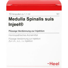 MEDULLA SPINALIS suis Injeel Ampullen 10 St – PZN 664326 из немецкой аптеки