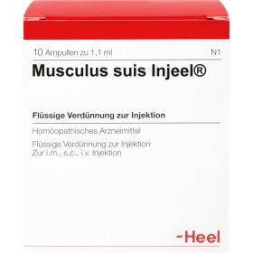 MUSCULUS SUIS Injeel Ampullen 10 St – PZN 693339 из немецкой аптеки