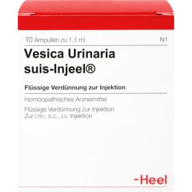VESICA URINARIA suis-Injeel Ampullen 10 St – PZN 1090181 из немецкой аптеки