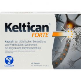KELTICAN forte Kapseln 40 St – PZN 1712263 из немецкой аптеки