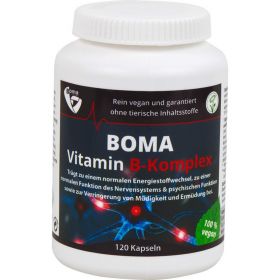 VITAMIN B KOMPLEX Kapseln 120 St – PZN 11597455 из немецкой аптеки