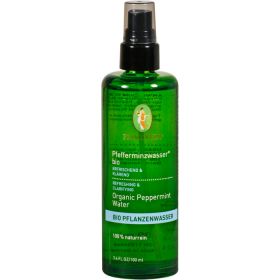 PFEFFERMINZWASSER Bio FrischeKick 100 ml – PZN 11534868 из немецкой аптеки
