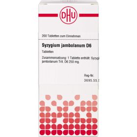 SYZYGIUM JAMBOLANUM D 6 Tabletten 200 St – PZN 4239494 из немецкой аптеки