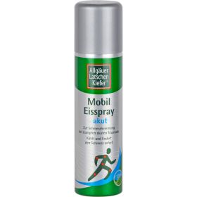 ALLGUER LATSCHENK. mobil Eisspray akut 150 ml – PZN 7386965 из немецкой аптеки