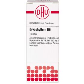 BRYOPHYLLUM D 6 Tabletten 80 St – PZN 546911 из немецкой аптеки