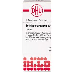 SOLIDAGO VIRGAUREA D 12 Tabletten 80 St – PZN 2636050 из немецкой аптеки