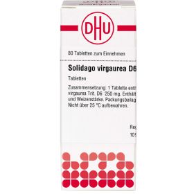 SOLIDAGO VIRGAUREA D 6 Tabletten 80 St – PZN 2808284 из немецкой аптеки