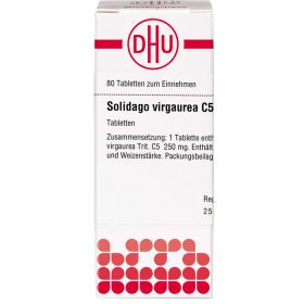 SOLIDAGO VIRGAUREA C 5 Tabletten 80 St – PZN 7180399 из немецкой аптеки