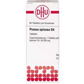 PRUNUS SPINOSA D 4 Tabletten 80 St – PZN 7249257 из немецкой аптеки