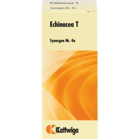 SYNERGON KOMPLEX 4a Echinacea T Tabletten 100 St – PZN 115223 из немецкой аптеки