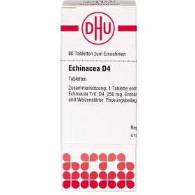 ECHINACEA HAB D 4 Tabletten 80 St – PZN 2113895 из немецкой аптеки