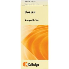 SYNERGON KOMPLEX 166 Uva ursi Tropfen 50 ml – PZN 1856565 из немецкой аптеки