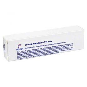 Conium Maculatum 5% Salbe (25 g) – PZN 1627830 из немецкой аптеки