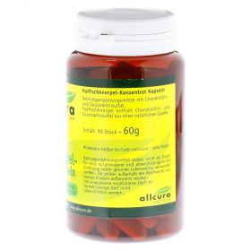 HAIFISCH KNORPEL Konzentrat Kapseln – PZN 4632352
 из немецкой аптеки