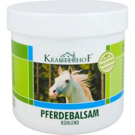 PFERDEBALSAM Kruterhof 250 ml – PZN 9299561 из немецкой аптеки