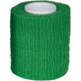 HGA-HAFT Color Fixierb.6 cmx4 m grn 1 St – PZN 10933135 из немецкой аптеки