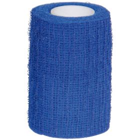HGA-HAFT Color Fixierb.8 cmx4 m blau 1 St – PZN 10933170 из немецкой аптеки