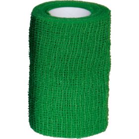 HGA-HAFT Color Fixierb.8 cmx4 m grn 1 St – PZN 10933201 из немецкой аптеки