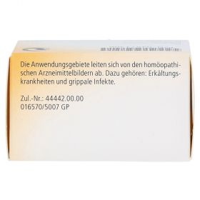 Engystol – PZN 4871306
 из немецкой аптеки
