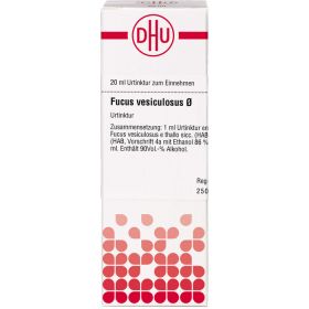 FUCUS VESICULOSUS Urtinktur 20 ml – PZN 2116959 из немецкой аптеки