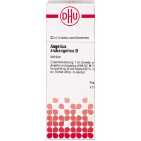 ANGELICA ARCHANGELICA Urtinktur D 1 20 ml – PZN 2606735 из немецкой аптеки