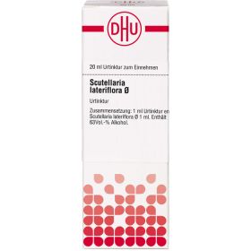SCUTELLARIA LATERIFLORA Urtinktur 20 ml – PZN 2621628 из немецкой аптеки