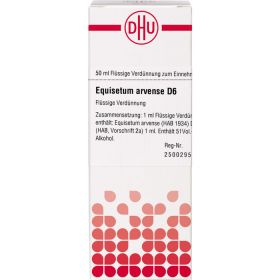 EQUISETUM ARVENSE D 6 Dilution 50 ml – PZN 4216145 из немецкой аптеки