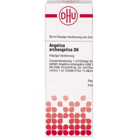 ANGELICA ARCHANGELICA D 6 Dilution 20 ml – PZN 7158885 из немецкой аптеки