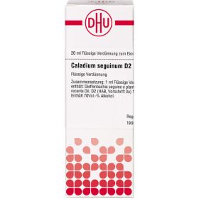 CALADIUM seguinum D 2 Dilution 20 ml – PZN 2111620 из немецкой аптеки
