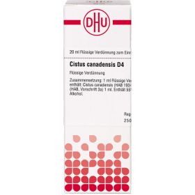 CISTUS CANADENSIS D 4 Dilution 20 ml – PZN 2611216 из немецкой аптеки