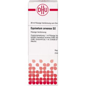 EQUISETUM ARVENSE D 2 Dilution 20 ml – PZN 2613221 из немецкой аптеки