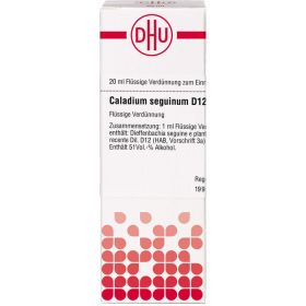 CALADIUM seguinum D 12 Dilution 20 ml – PZN 2894929 из немецкой аптеки