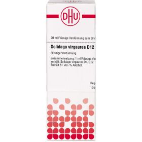 SOLIDAGO VIRGAUREA D 12 Dilution 20 ml – PZN 2931441 из немецкой аптеки