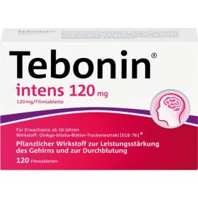 TEBONIN intens 120 mg Filmtabletten 120 St – PZN 8692575 из немецкой аптеки