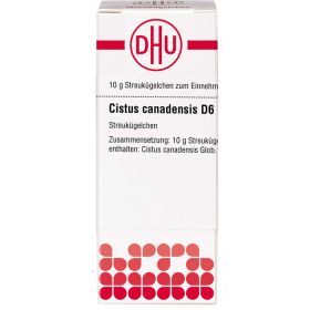 CISTUS CANADENSIS D 6 Globuli 10 g – PZN 7456105 из немецкой аптеки