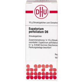 EUPATORIUM PERFOLIATUM D 6 Globuli 10 g – PZN 2890179 из немецкой аптеки