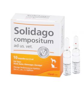 SOLIDAGO COMPOSITUM ad us.vet.Ampullen 10 St – PZN 1219864 из немецкой аптеки