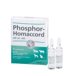 PHOSPHOR HOMACCORD ad us.vet.Ampullen 5 St – PZN 2585097 из немецкой аптеки